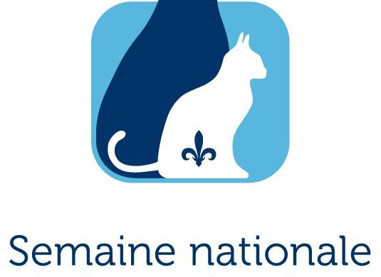 La SPA le MCE invientent les différents acteurs de Québec à participer à la semaine nationale de stérilisation animale au Québec