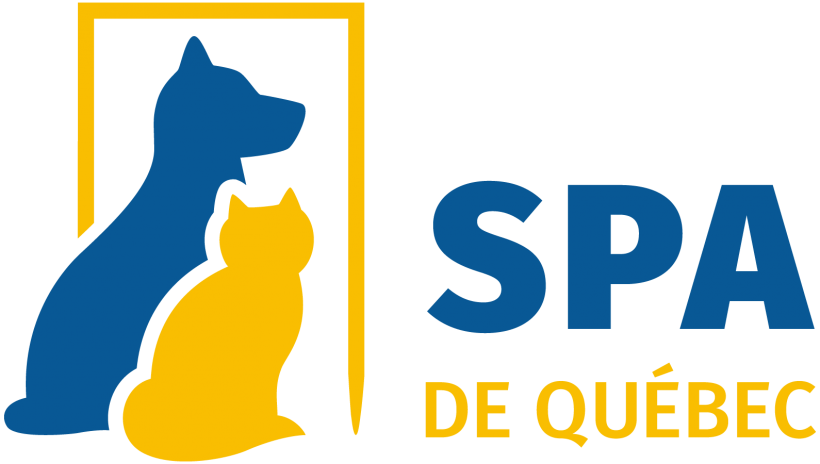 La SPA offrira ses services pour tous les contrats de gestion animalière à Québec, Portneuf et la Côte-de-Beaupré