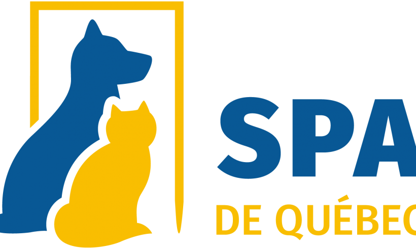 La SPA offrira ses services pour tous les contrats de gestion animalière à Québec, Portneuf et la Côte-de-Beaupré