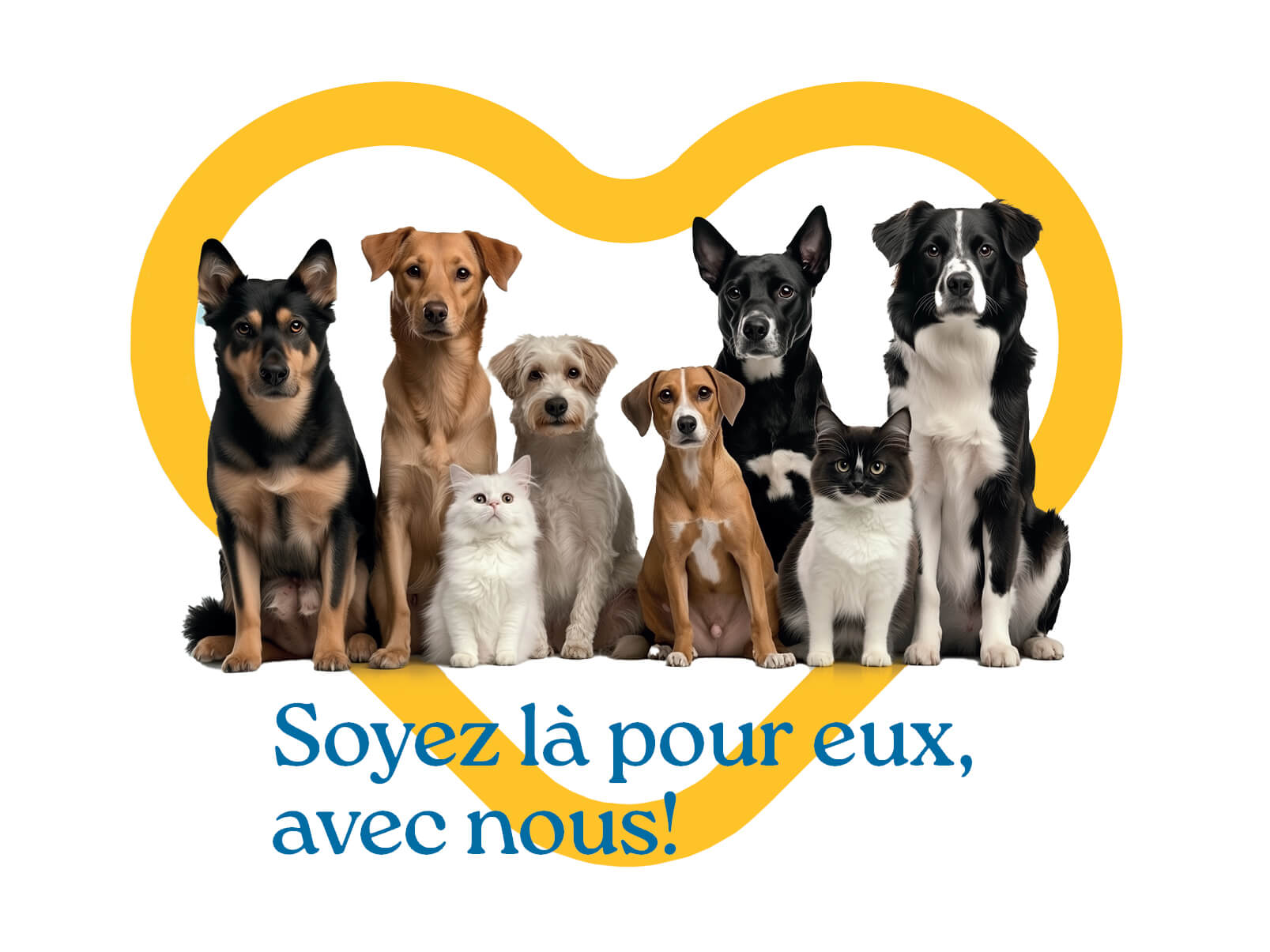 Lancement de notre campagne annuelle 2025