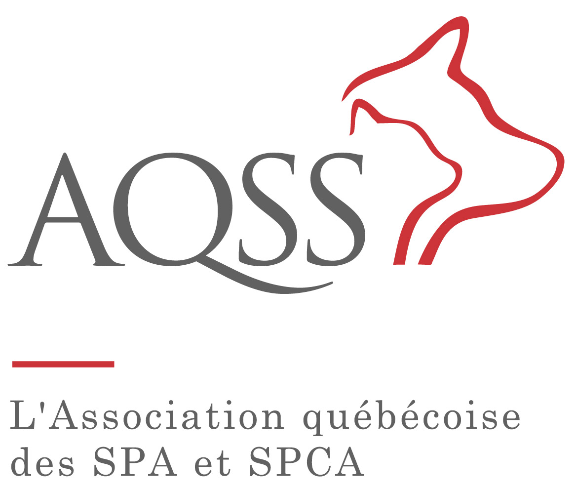 AQSS