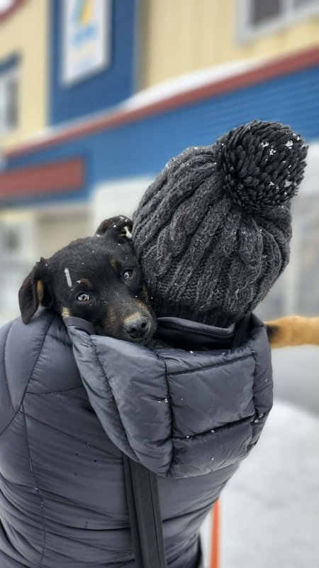 Axel