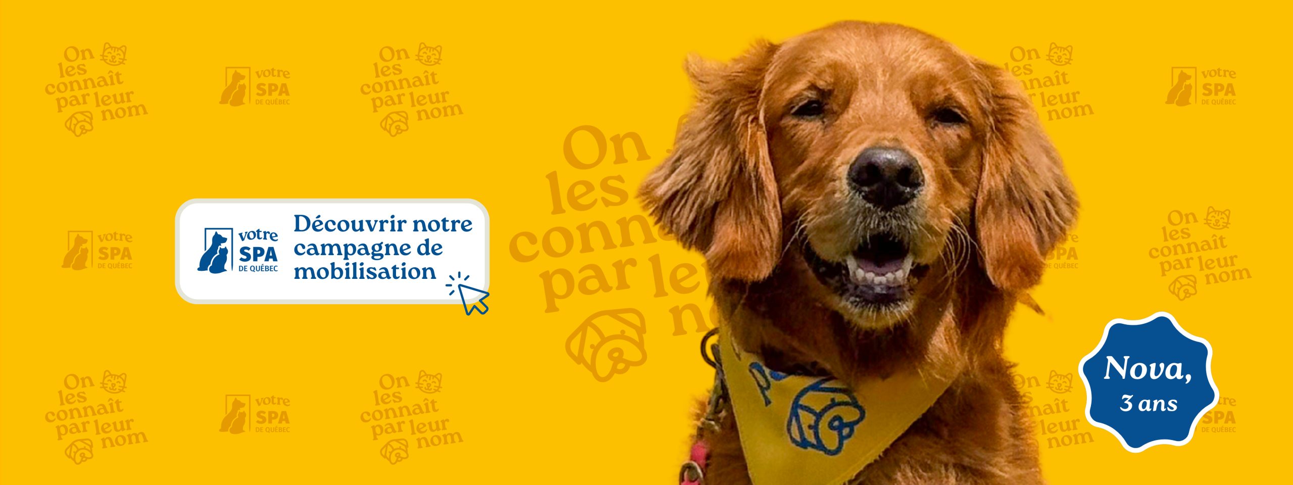 Découvrir notre campagne de mobilisation