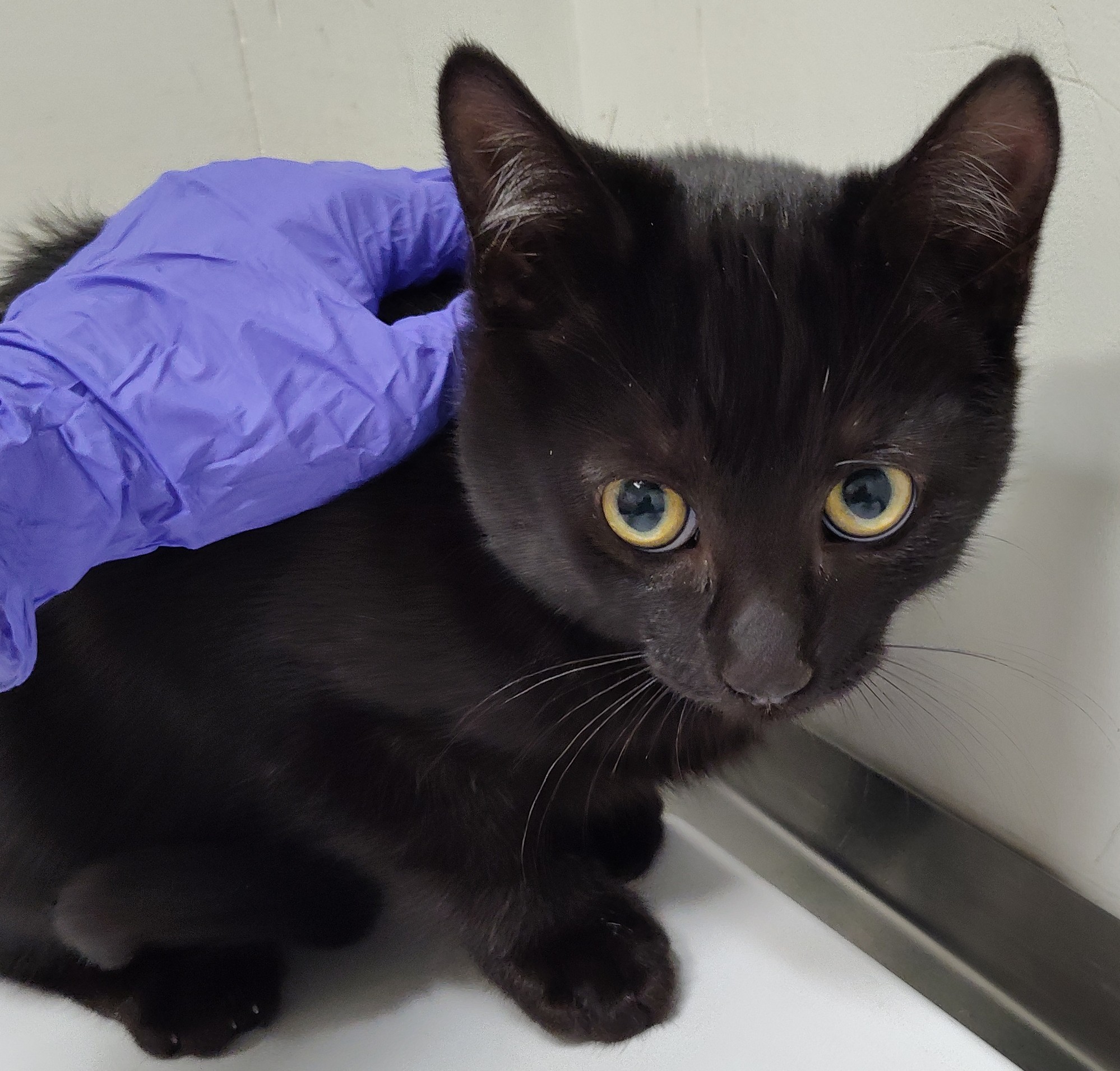 A-198327